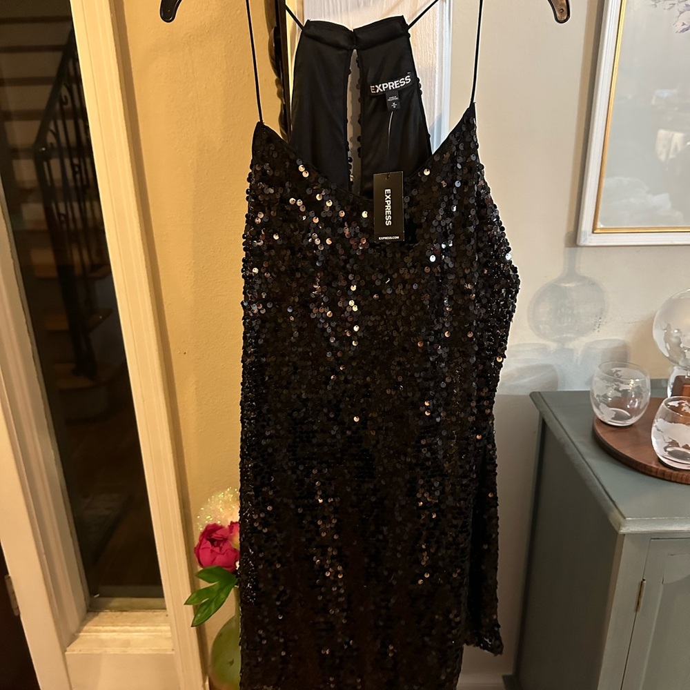 Express Aline swing sequin dress.